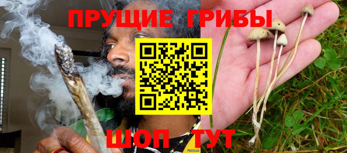 Ижевск  Псилоцибиновые грибы GOLDEN TEACHER  хочу наркоту  Вход с VPN 