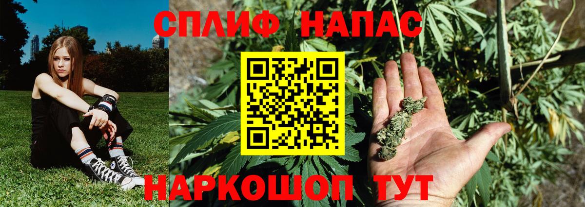Бошки марихуана индика Ижевск